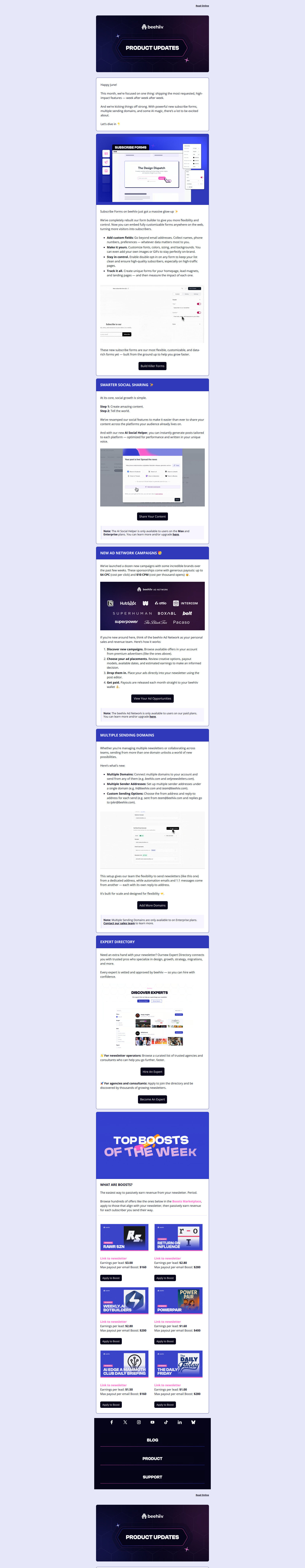 your expert is waiting — email screenshot from Beehiiv